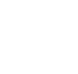 VisionVolve icon — icon-white